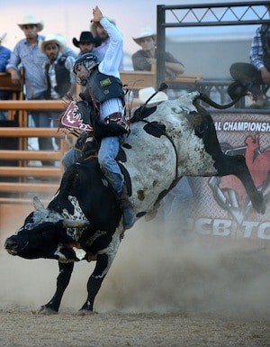 CRISTIANO FIGUEREDO SAN PAULO, BRAZIL 2ND PLACE WINNER. ON WILD N ...