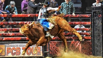 Bull Riding Event