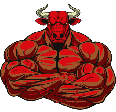 bull-riding-professionals-chicago bull riding professionals chicago