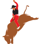 left-side-bull-pcb-tours