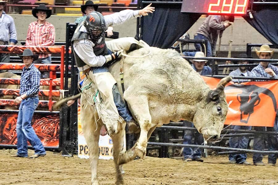 pcb-tour-2 bull riding basics pcb tour