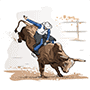 right-bull-rider