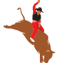 right-side-bull-pcb-tours
