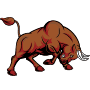 right-side-bull